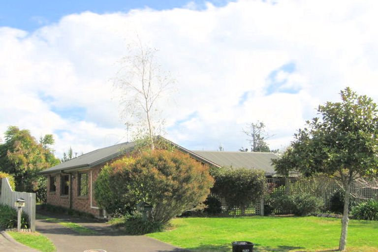 Photo of property in 91 Stableford Drive, Pyes Pa, Tauranga, 3112