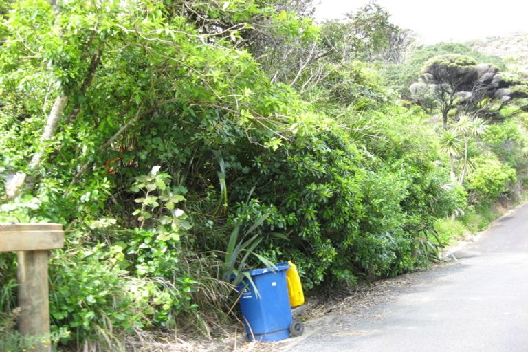 Photo of property in 70 Rayner Road, Piha, 0772