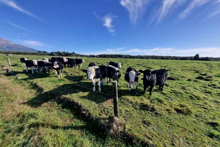 Photo of property in 584 York Road, Midhirst, Stratford, 4394