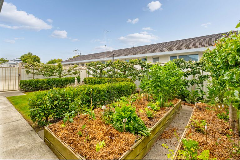 Photo of property in 20a Worksop Road, Masterton, 5810