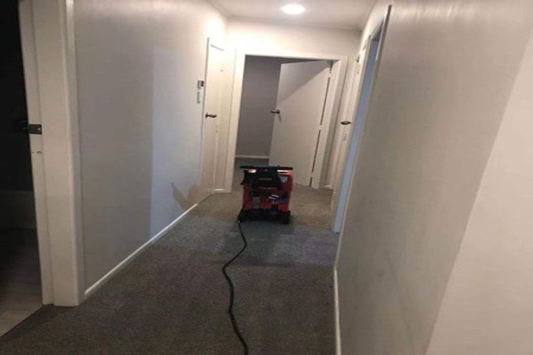 Photo of property in 60 Southsea Crescent, Silverdale, Hamilton, 3216