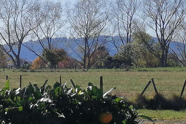 Photo of property in 6 Ihimaera Terrace, Leamington, Cambridge, 3432