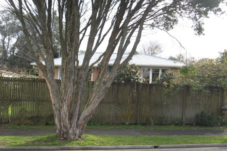 Photo of property in 21 Panair Crescent, Hillcrest, Hamilton, 3216