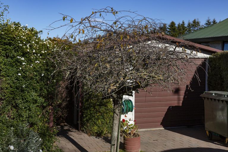 Photo of property in 11 Parklane Place, Weston, Oamaru, 9401