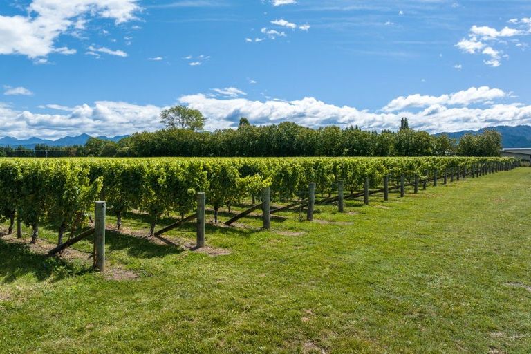 Photo of property in 5 Brook Street, Renwick, 7204