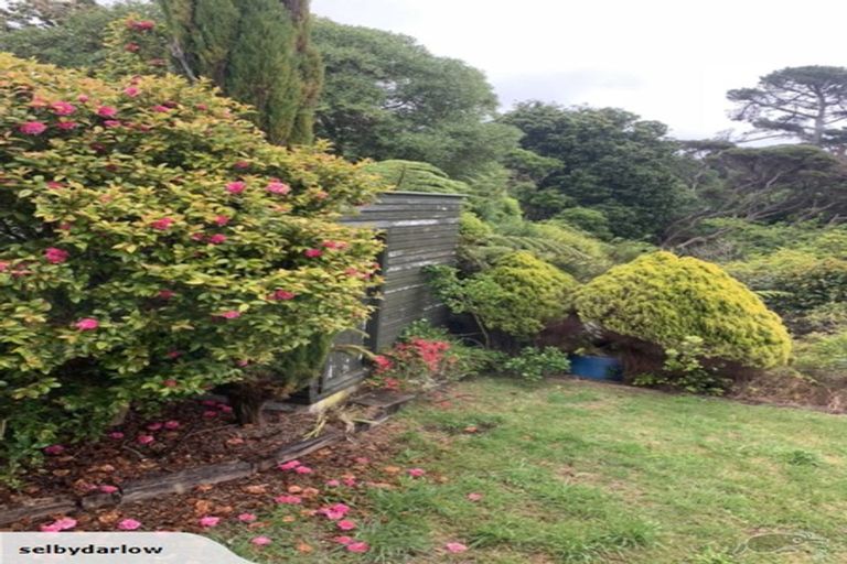 Photo of property in 10 Toenga Road, Pukerua Bay, 5026
