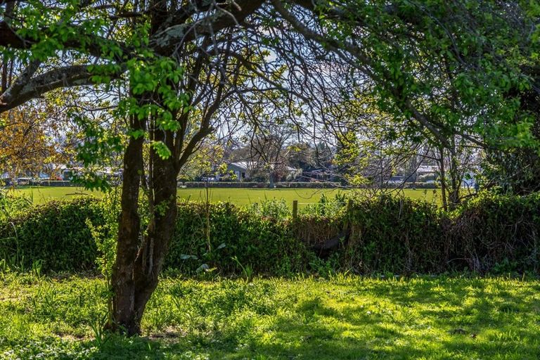 Photo of property in 81 Kuripuni Street, Kuripuni, Masterton, 5810