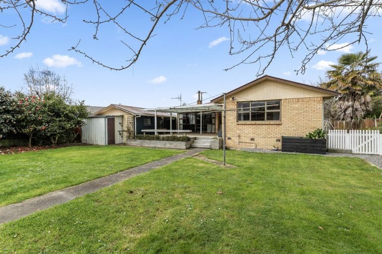 Photo of property in 48 Storey Avenue, Forest Lake, Hamilton, 3200