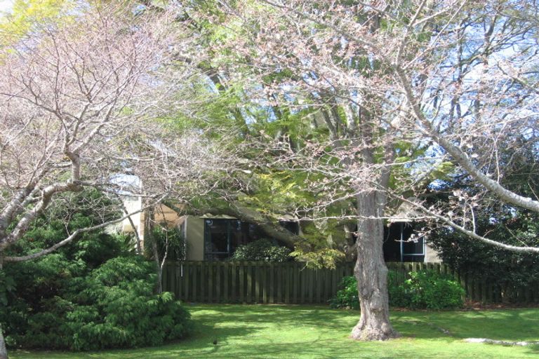 Photo of property in 144 Grace Road, Tauranga South, Tauranga, 3112