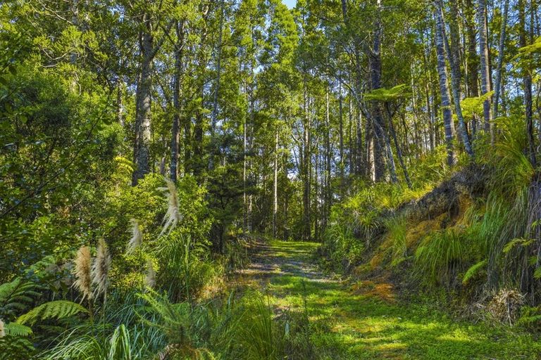 Photo of property in 131 Upper Harbour Drive, Greenhithe, Auckland, 0632