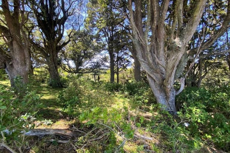 Photo of property in 171b Franklin Road, Parua Bay, 0192