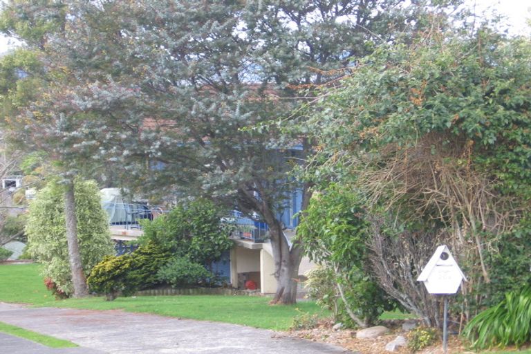 Photo of property in 20a Wiremu Street, Brookfield, Tauranga, 3110