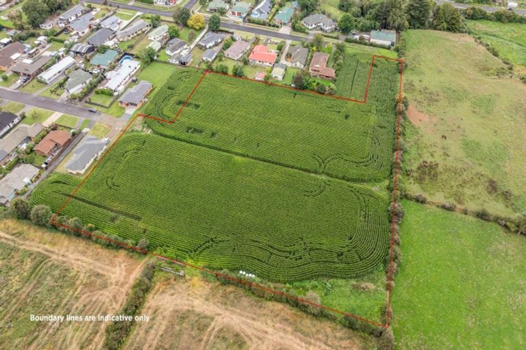 Photo of property in 21 Coolen Place, Tuakau, 2121