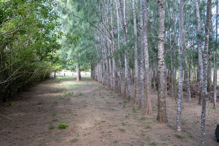 Photo of property in 3687 State Highway 12, Taheke, Kaikohe, 0473