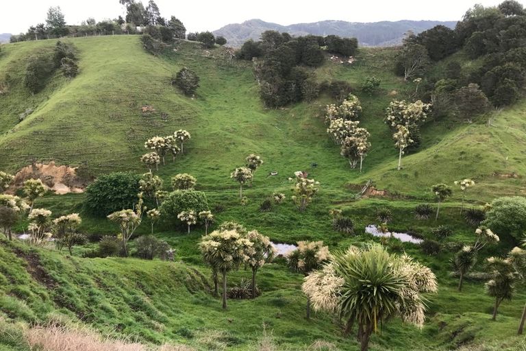 Photo of property in 763d White Pine Bush Road, White Pine Bush, Whakatane, 3191