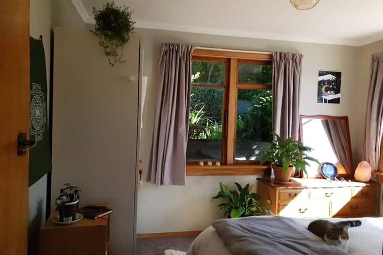 Photo of property in 213 Signal Hill Road, Opoho, Dunedin, 9010