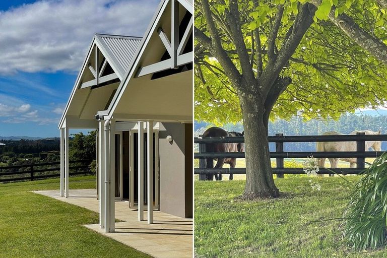 Photo of property in 217 Plummers Point Road, Whakamarama, Tauranga, 3172