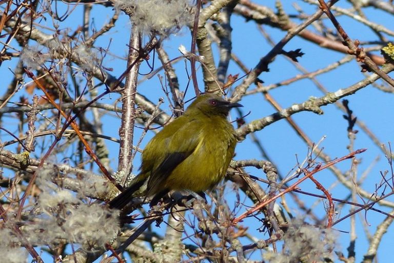 Photo of property in 27 Princes Street, Waimate, 7924
