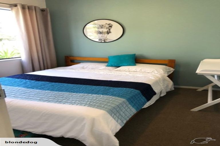 Photo of property in 4 School House Lane, Whitianga, 3510