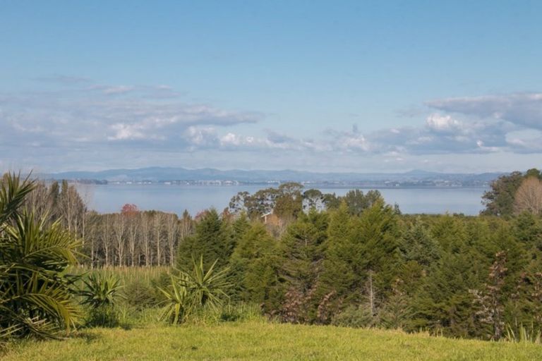 Photo of property in 216b Kauri Point Road, Tahawai, Katikati, 3170