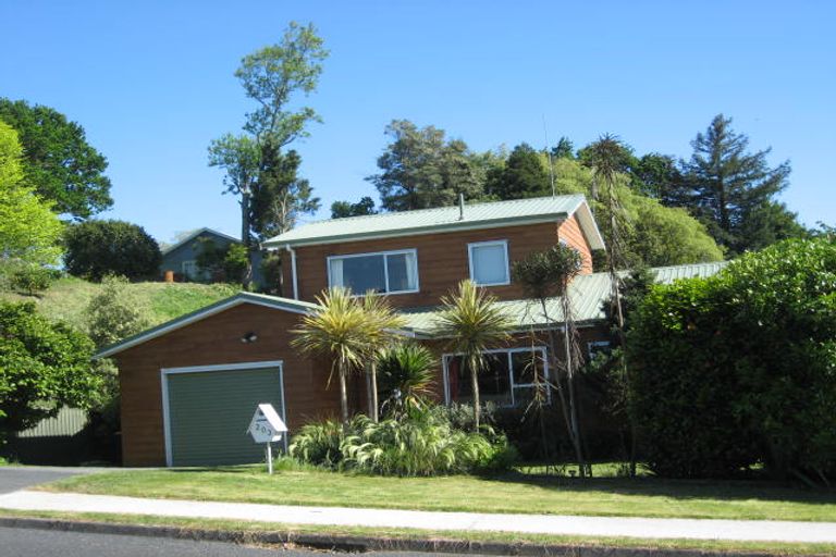 Photo of property in 203 Raikes Avenue, Te Awamutu, 3800