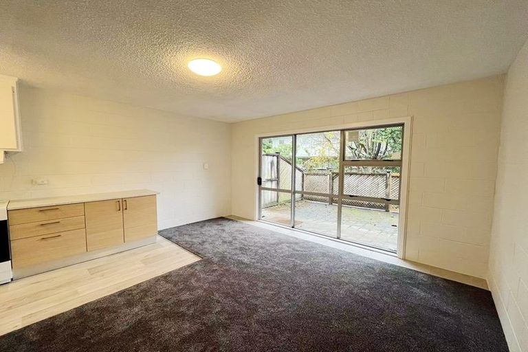 Photo of property in 2/7 Edenvale Park Road, Mount Eden, Auckland, 1024