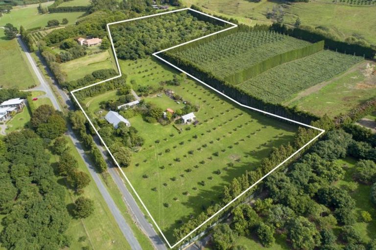 Photo of property in 109a Plummer Road, Whakamarama, Tauranga, 3179