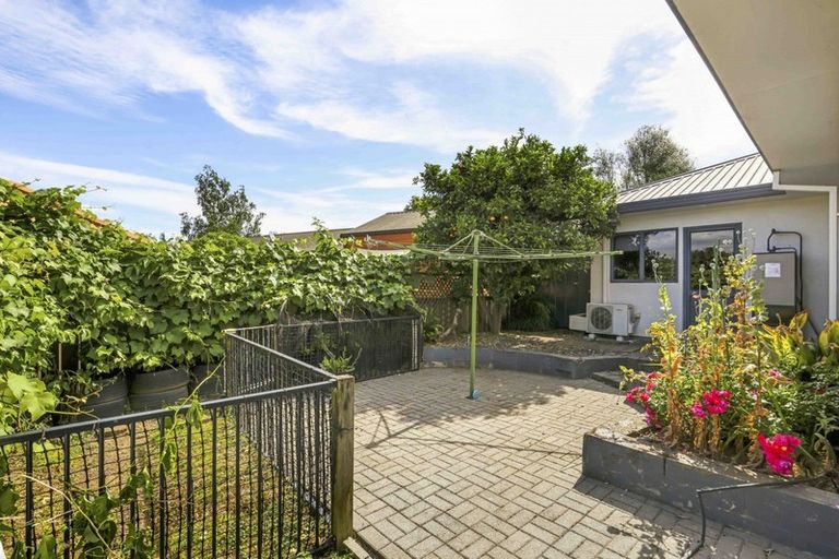 Photo of property in 51 Sunnyhills Avenue, Glenview, Hamilton, 3206