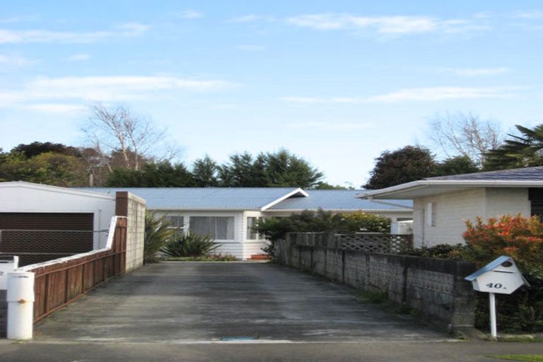 Photo of property in 40a Highbury Drive, Levin, 5510