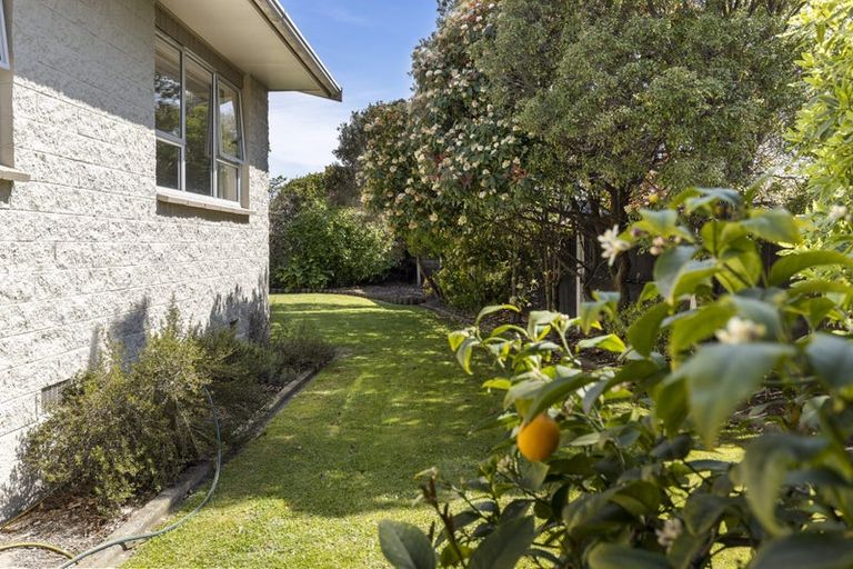 Photo of property in 28 Hillcrest Avenue, Witherlea, Blenheim, 7201