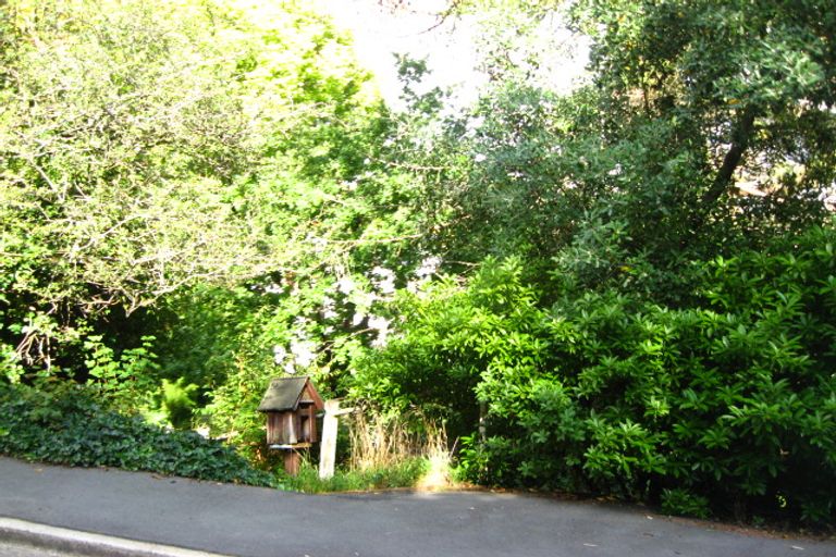 Photo of property in 58 Chambers Street, North East Valley, Dunedin, 9010