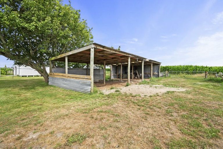 Photo of property in 55 Hansens Line, Newbury, Palmerston North, 4475