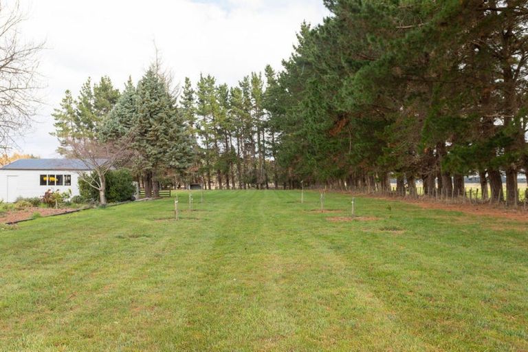 Photo of property in 12 Totaramahonga Road, Dannevirke, 4972