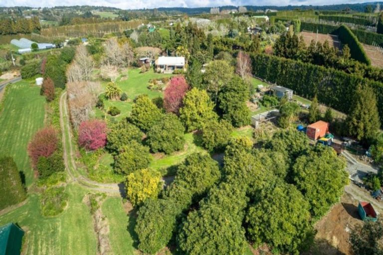 Photo of property in 51 Sinclair Road, Whakamarama, Tauranga, 3179