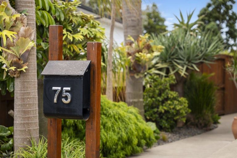 Photo of property in 75 Campbell Road, Mount Maunganui, 3116