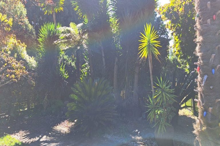 Photo of property in 286c Newell Road, Tamahere, Hamilton, 3283