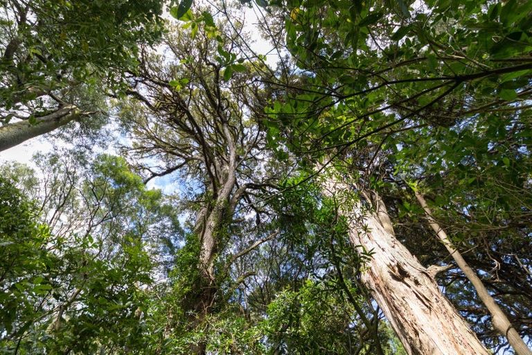 Photo of property in 499 Sandon Road, Feilding, 4779