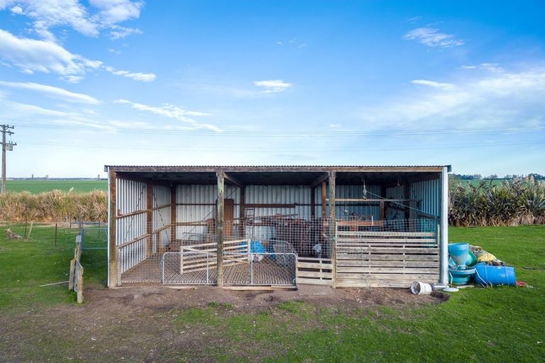 Photo of property in 263 Molloys Road, Waimate, 7980