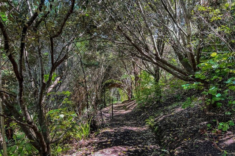 Photo of property in 248 Ohiwa Harbour Road, Waiotahe, Opotiki, 3198