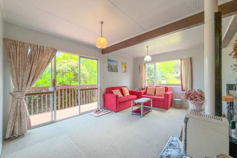 Photo of property in 104 Hays Place, Thames, 3500