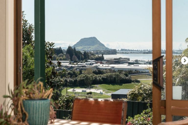 Photo of property in 2/19 Clarke Street, Gate Pa, Tauranga, 3112