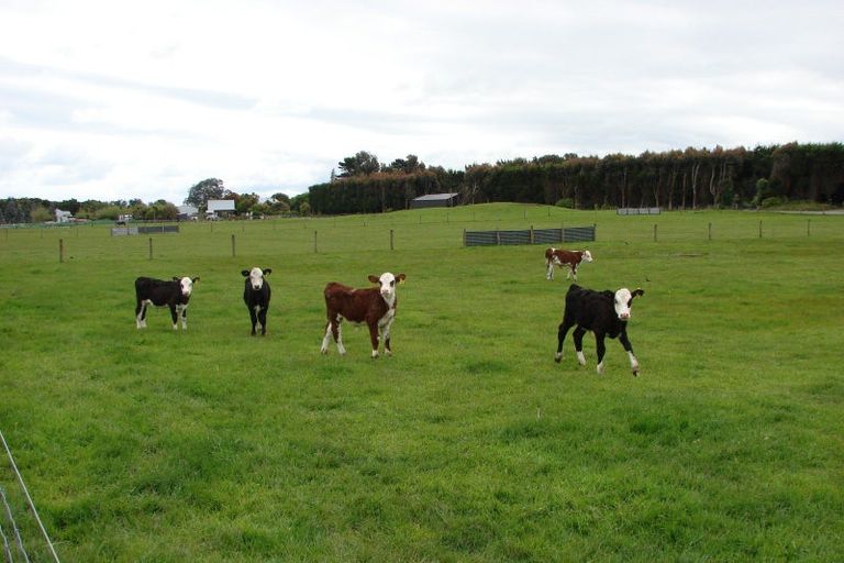 Photo of property in 256 Oreti Road, Otatara, Invercargill, 9879