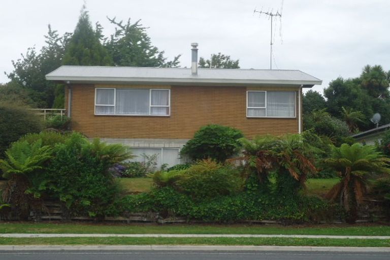 Photo of property in 111 Arapuni Street, Putaruru, 3411