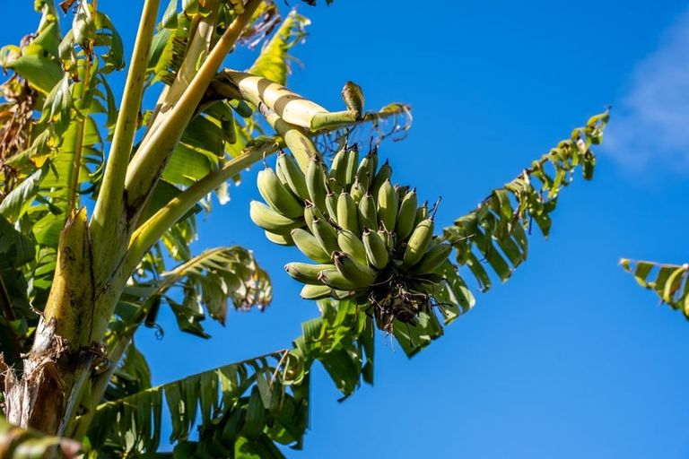 Photo of property in 417 Te Moana Road, Waikanae, 5036