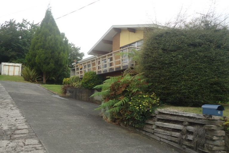 Photo of property in 111 Arapuni Street, Putaruru, 3411