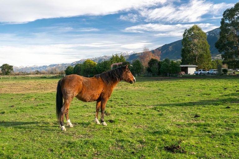 Photo of property in 26 Burrells Lane, Kaikoura Flat, Kaikoura, 7371
