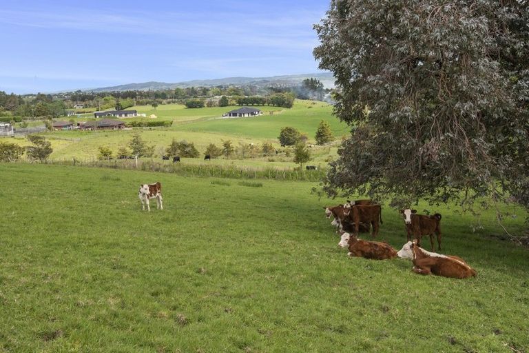 Photo of property in 151 Old Parua Bay Road, Abbey Caves, Whangarei, 0175