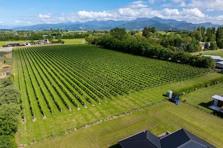 Photo of property in 5 Brook Street, Renwick, 7204