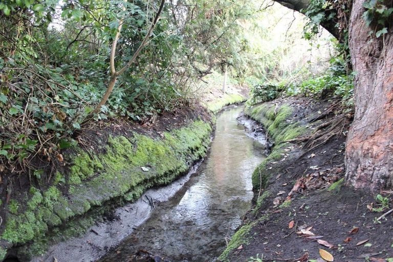 Photo of property in 7 Styxspring Lane, Harewood, Christchurch, 8051