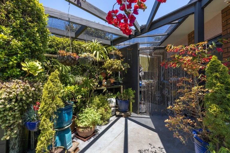 Photo of property in 81 Wallace Place, Westown, New Plymouth, 4310